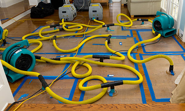 Professional Crawl Space Water Removal technician working in Tiverton, RI